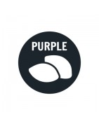 Graines de cannabis purple