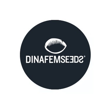Dinafem Autofloraison