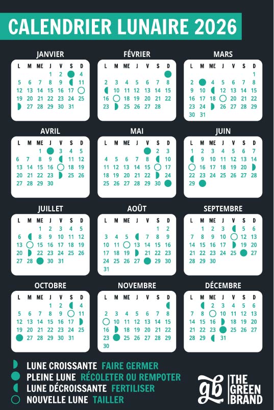 Calendario Lunar