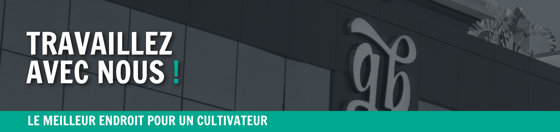 Travaillez avec nous grow shop