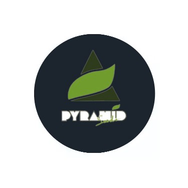 Pyramid Seeds féminisées