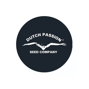 Dutch Passion régulières