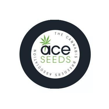 Ace Seeds féminisées