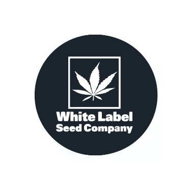 White Label Seeds féminisées