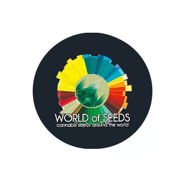 World of Seeds féminisées