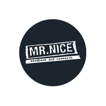 Mr. Nice Seeds régulières