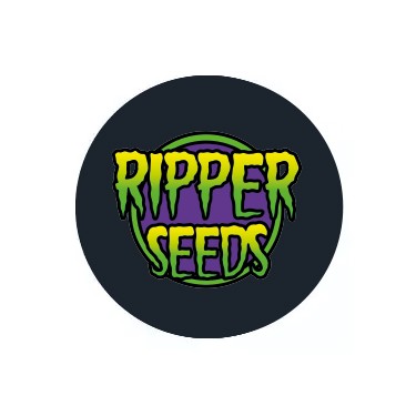 Ripper Seeds graines féminisées