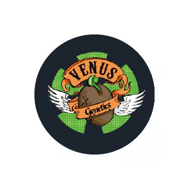 Graines féminisées Venus Genetics