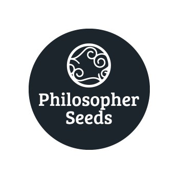 Philosopher Seeds féminisées