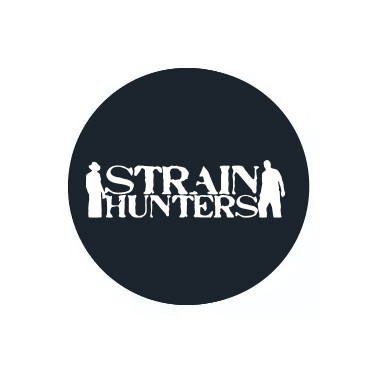 Strains Hunters féminisées