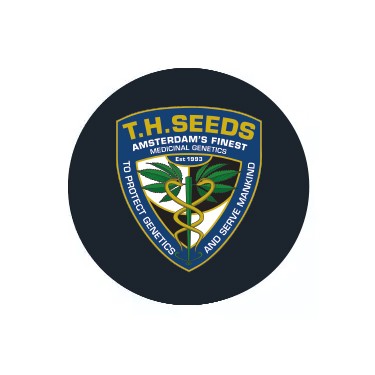THSeeds féminisées