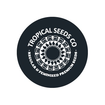 Tropical Seeds Co. féminisées