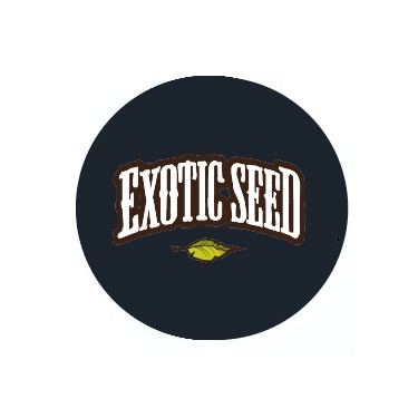 Exotic Seeds féminisées