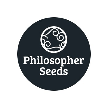 Philosopher Seeds régulières 
