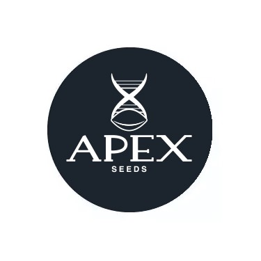 Graines féminisées Apex Seeds