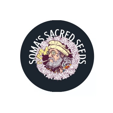 Soma Seeds