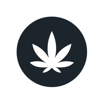 Cannabis indica