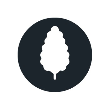 Graines de cannabis productives