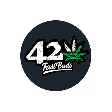 Fast Buds féminisées