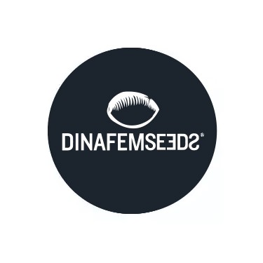 Dinafem Seeds féminisées