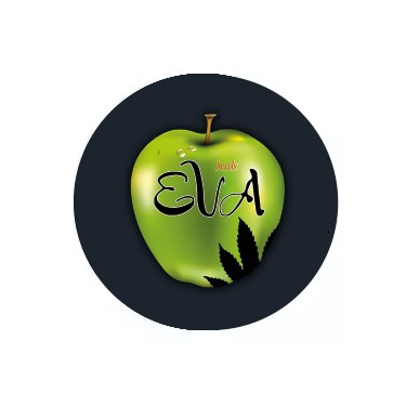 Eva Seeds féminisées