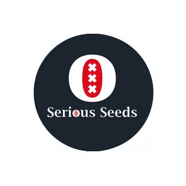 Graines  féminisées de Serious Seeds 
