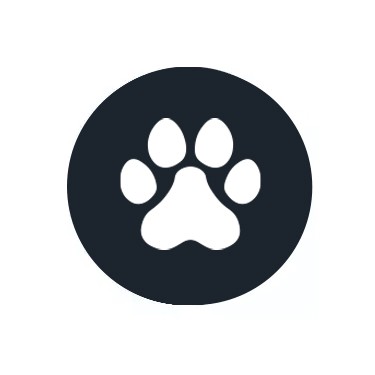 CBD pour animaux