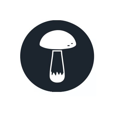 Champignons hallucinogènes