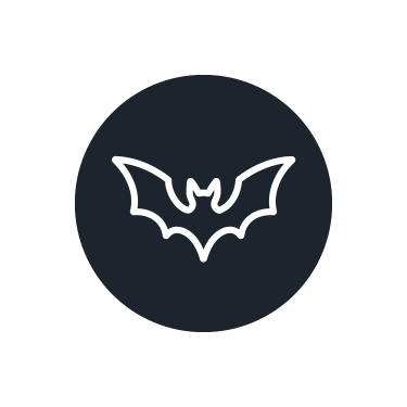 Guano de Chauve-souris