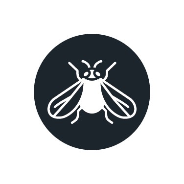 Insecticide contre la mouche blanche