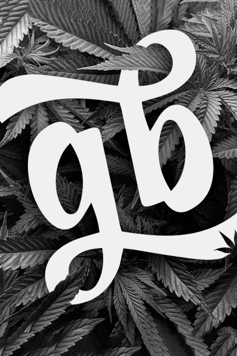 Nirvana féminisées