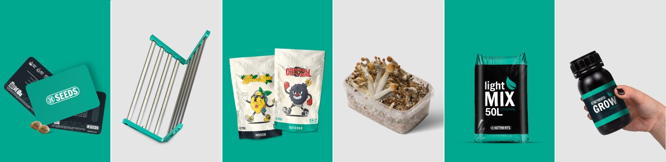 acheter Graines Féminisées